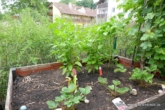 # Ihre Altersvorsorge! Großzügige Pflegewohnung an der Nonnenbrücke! - eigener Kräutergarten