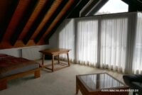 DG Studio