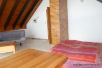 DG Studio